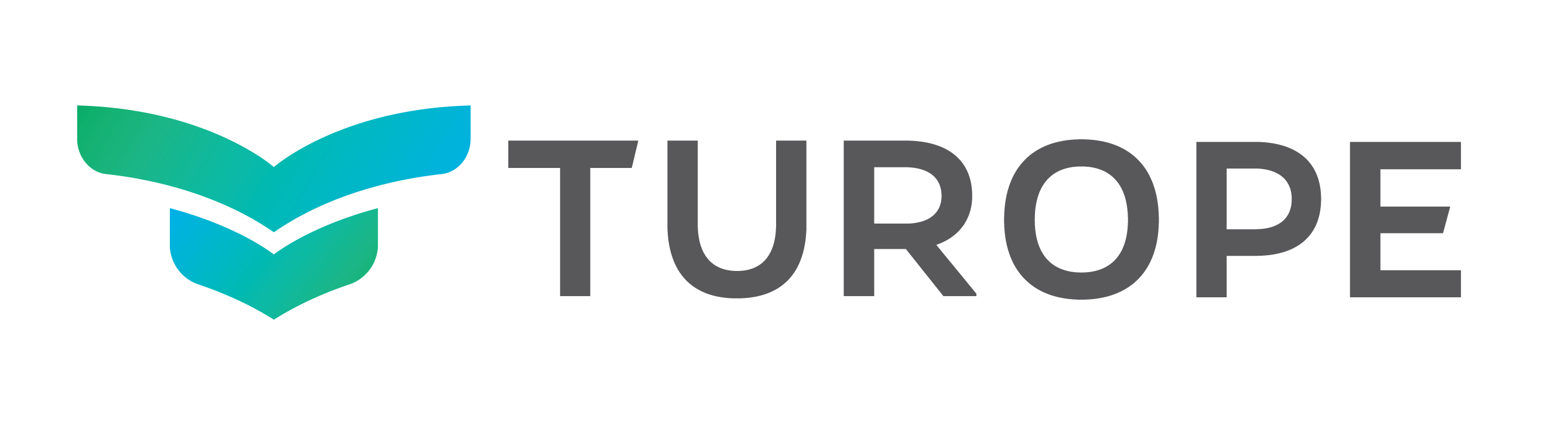 Turope Consult GmbH